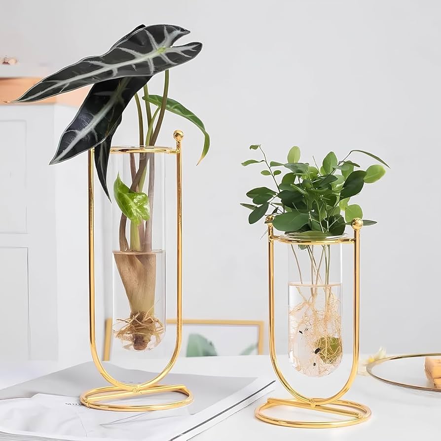 71AM9wrZv1L._AC_UF894,1000_QL80_