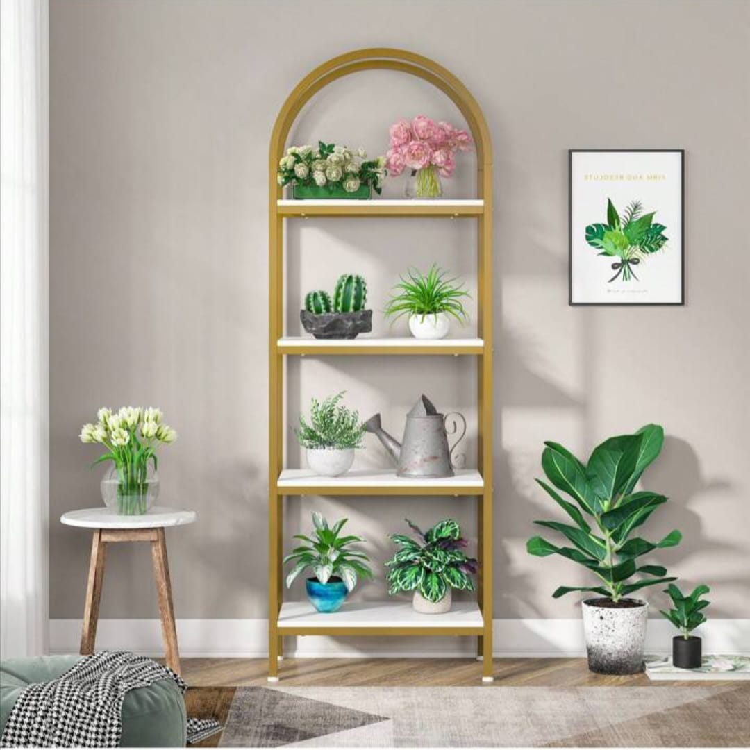 WhatsApp-Image-2025-07-12-at-12.23.13-PM-1 (1)